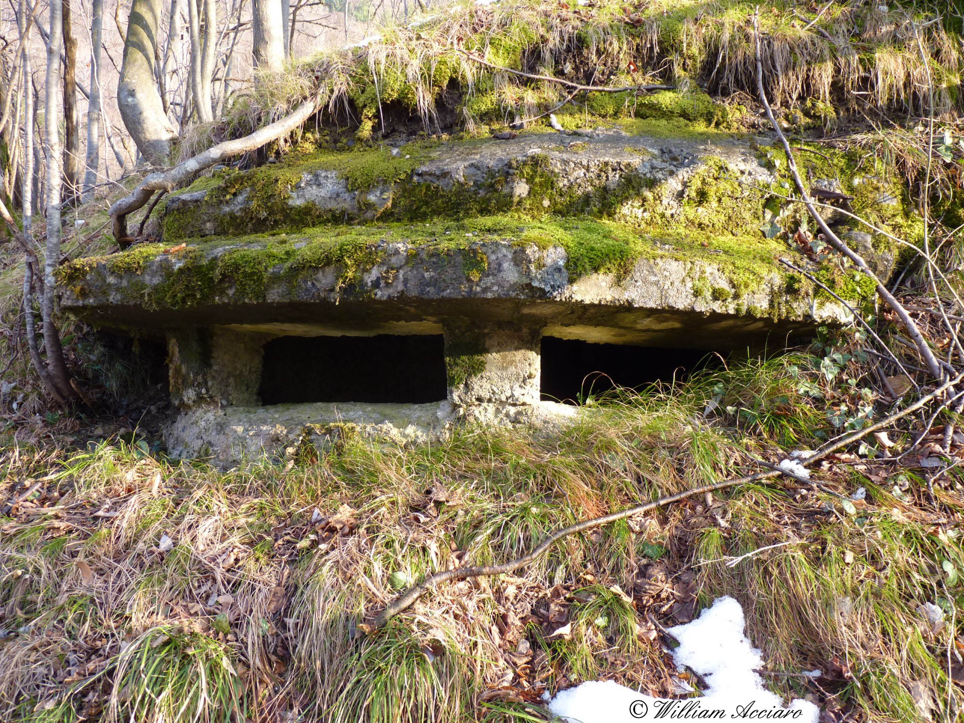 FERRITOIA PRIMA GUERRA MONDIALE LOCALITA' CLAINO CON OSTENO