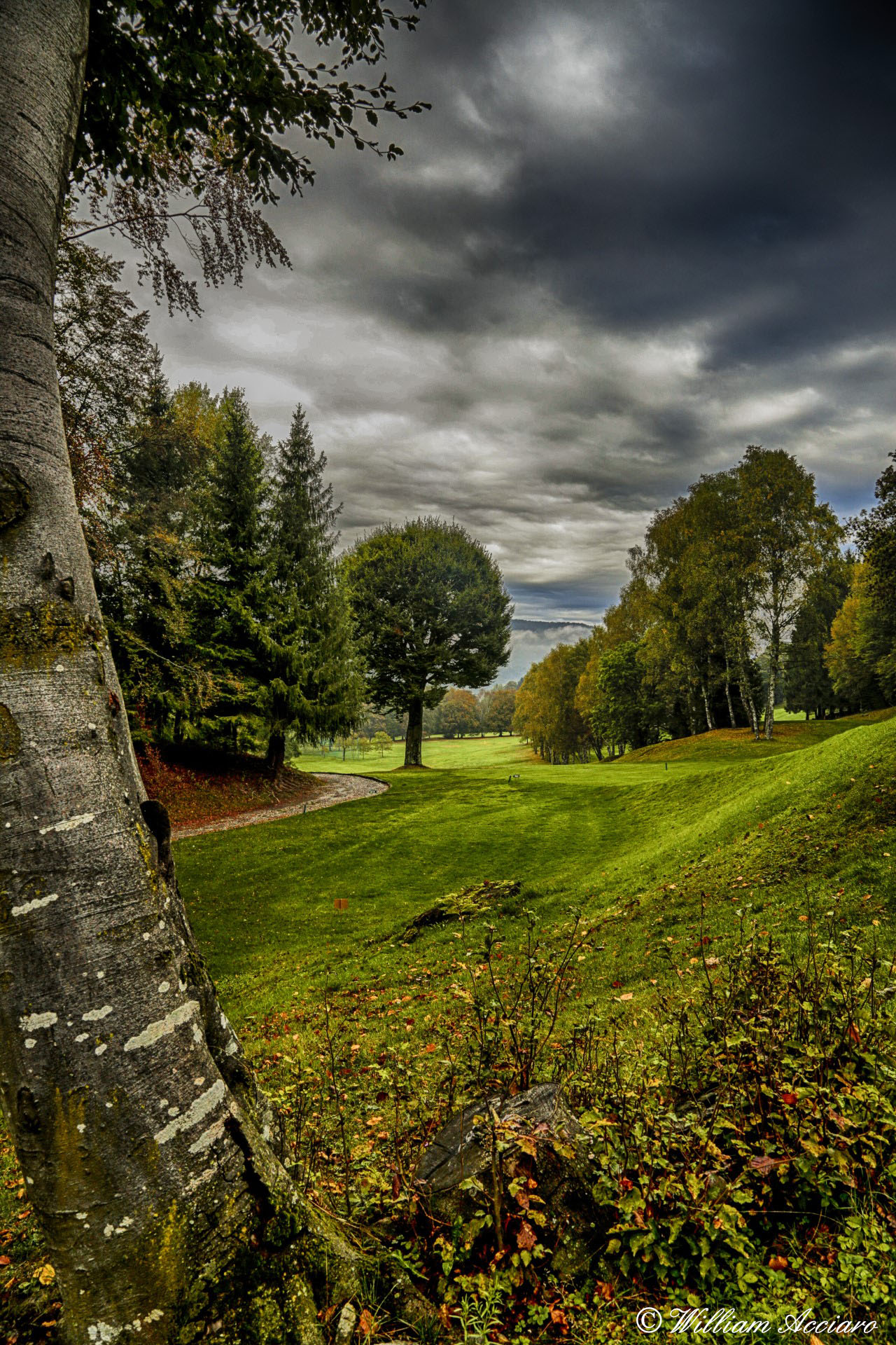 GOLF LANZO D' INTELVI