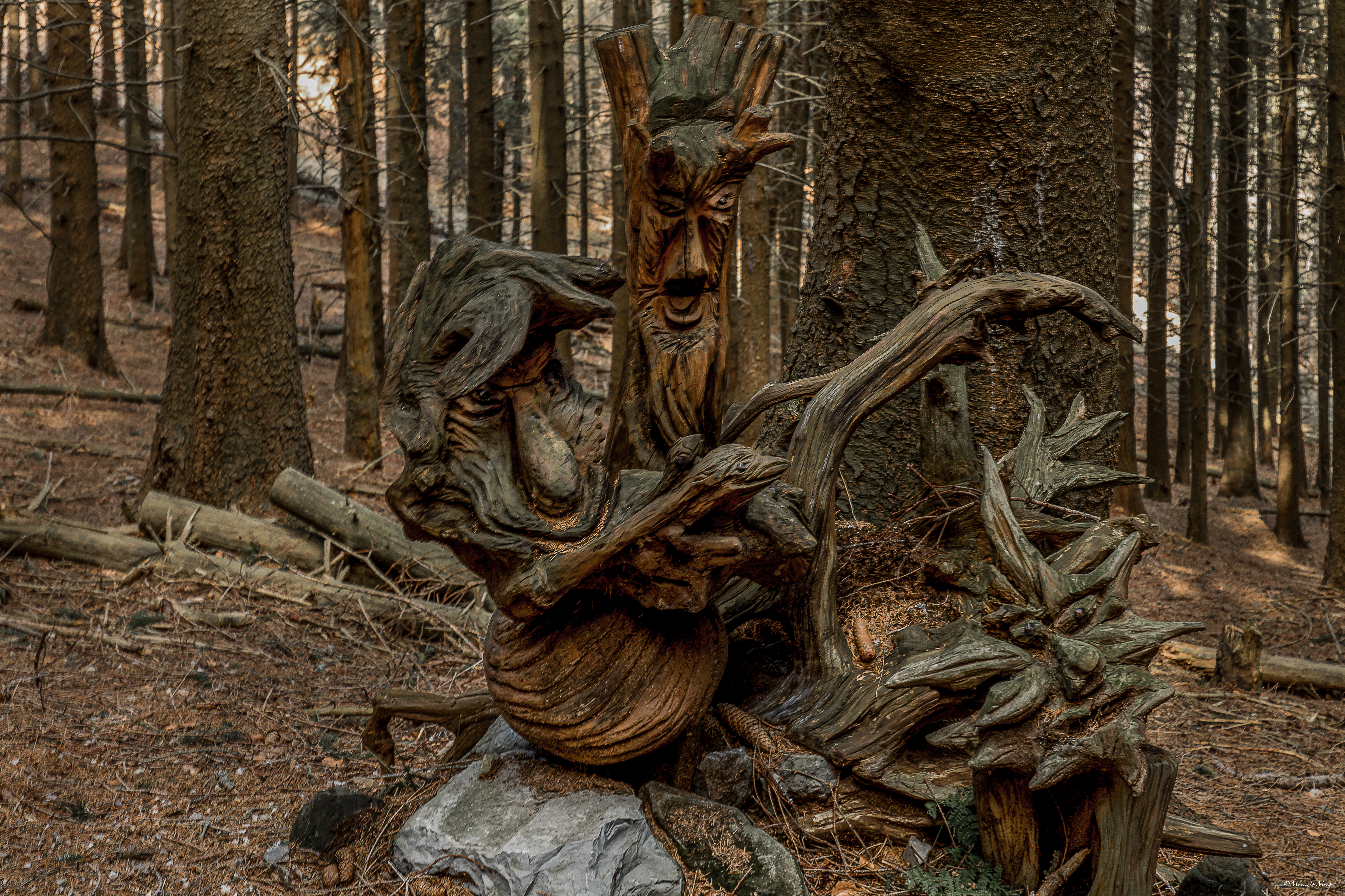 scultura sentiero espressioni