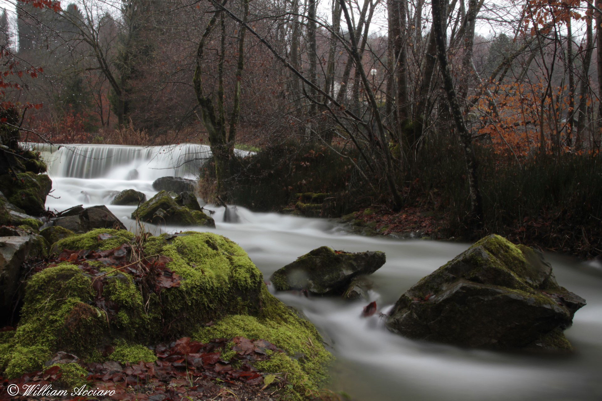 ruscello località scaria lanzo d'intelvi